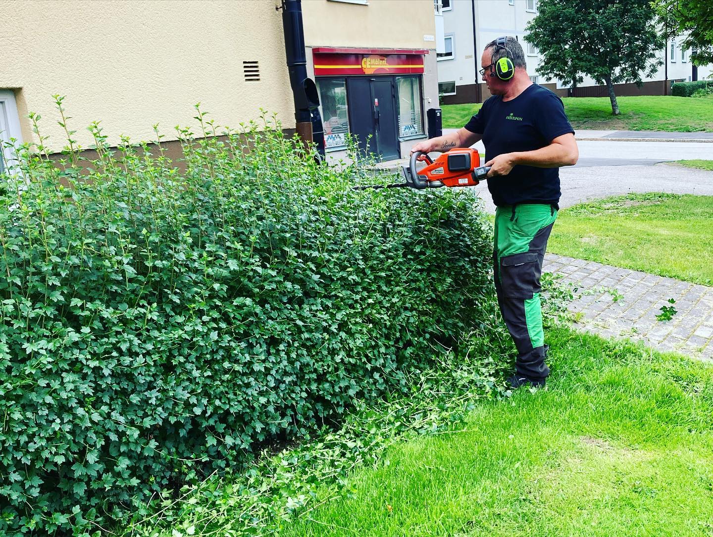 Trimmar en häck